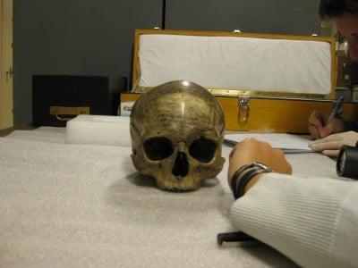 Le crâne de René Descartes. Collection Museum national d'histoire naturelle de Paris.