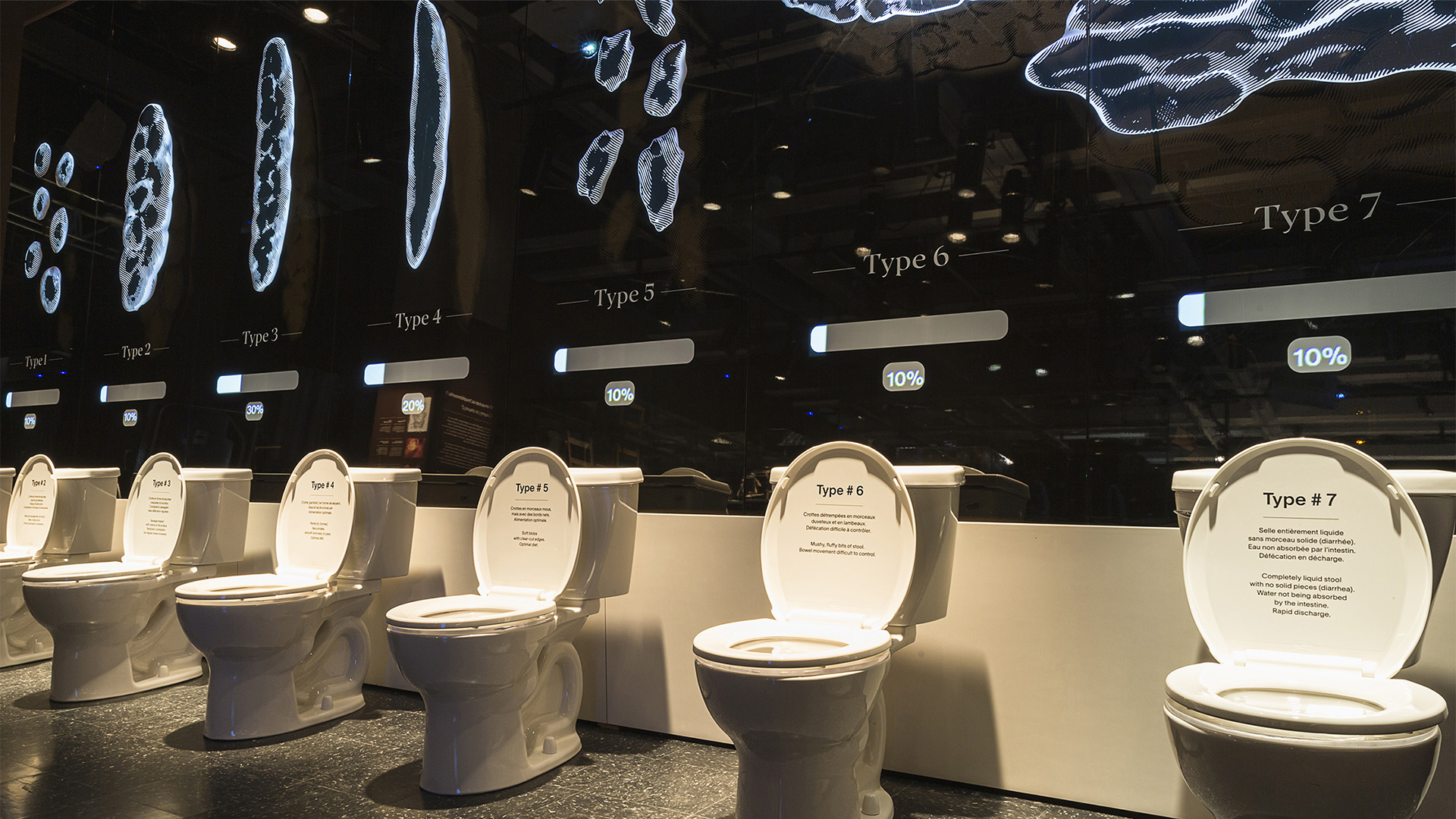 Photographie d'une série de toilettes présentant l'échelle de Bristol dans l'exposition Ô merde!