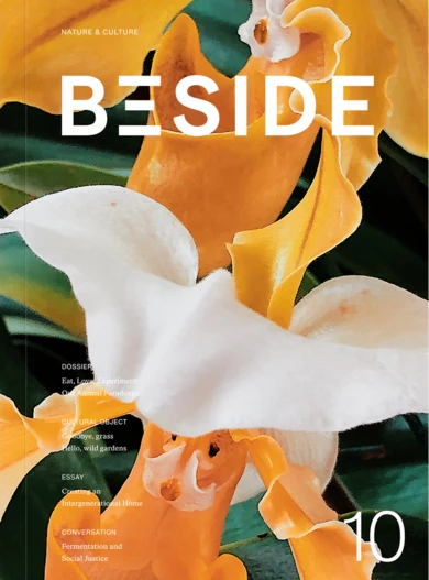 Couverture du numéro 10 du magazine Beside, montrant une fleur orangée.