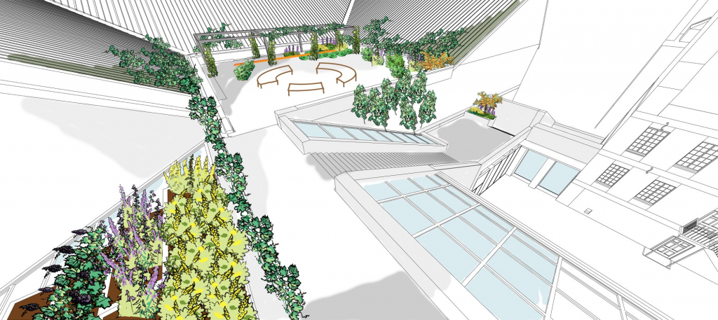 Croquis 3D du plan d'aménagement des toits du Musée, montrant des aménagements faits au fil des ans qui seront graduellement envahis de végétation.