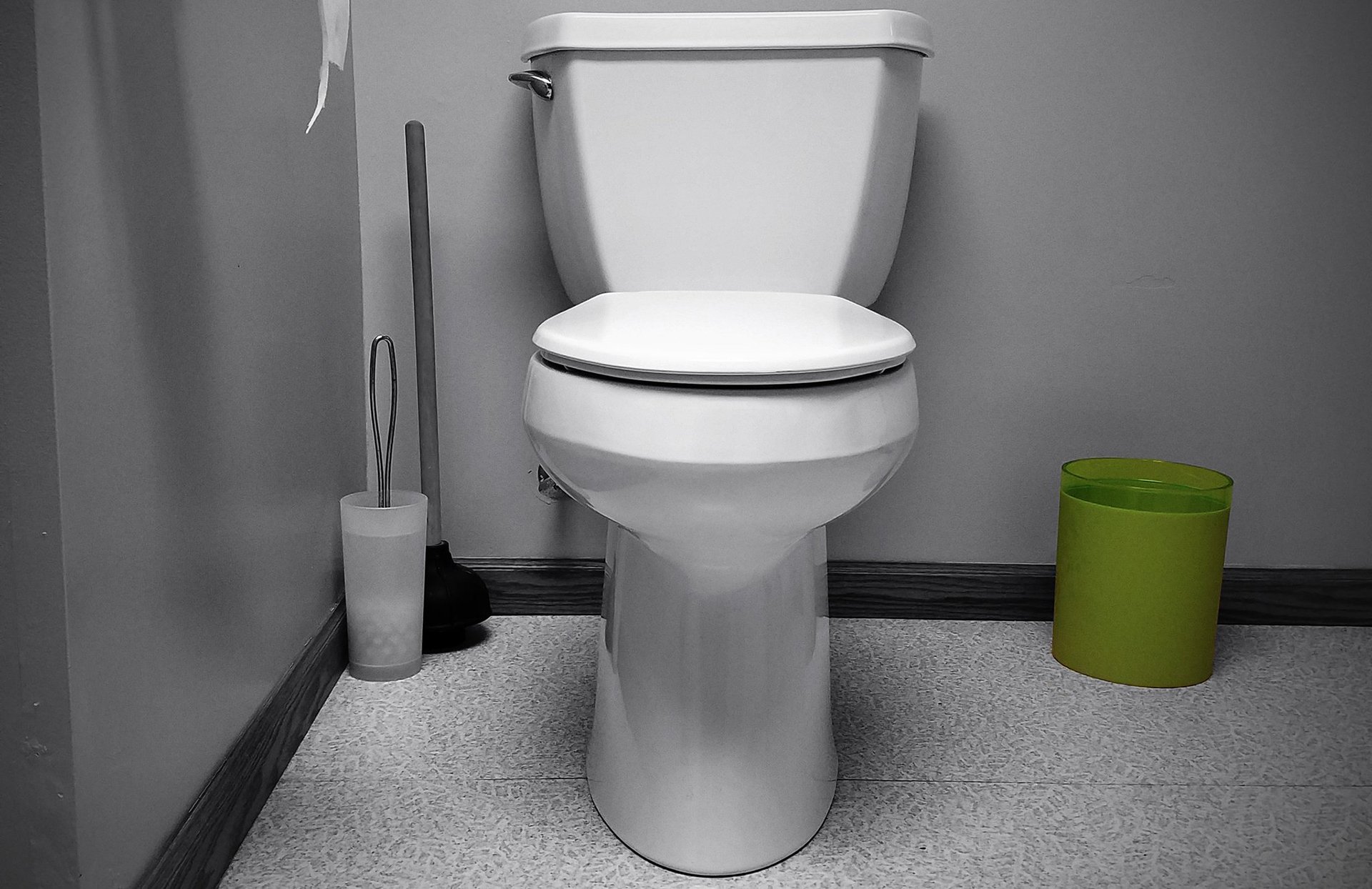 Photographie d'une toilette blanche typique nord-américaine